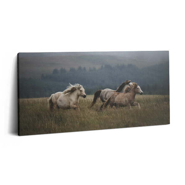 Vászonfotó 100x50 Lovak galoppoznak felfelé