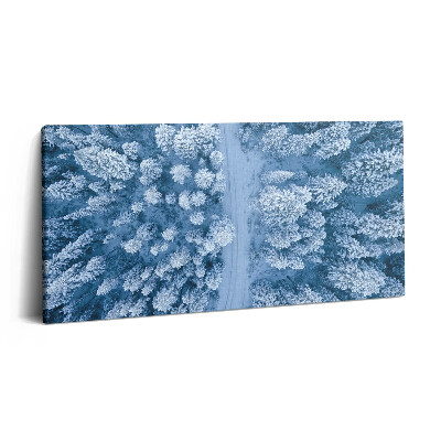 Vászonfotó 100x50 Az erdő madártávlatból. Drónok