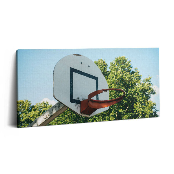 Vászonfotó 100x50 Kosárlabda sportok