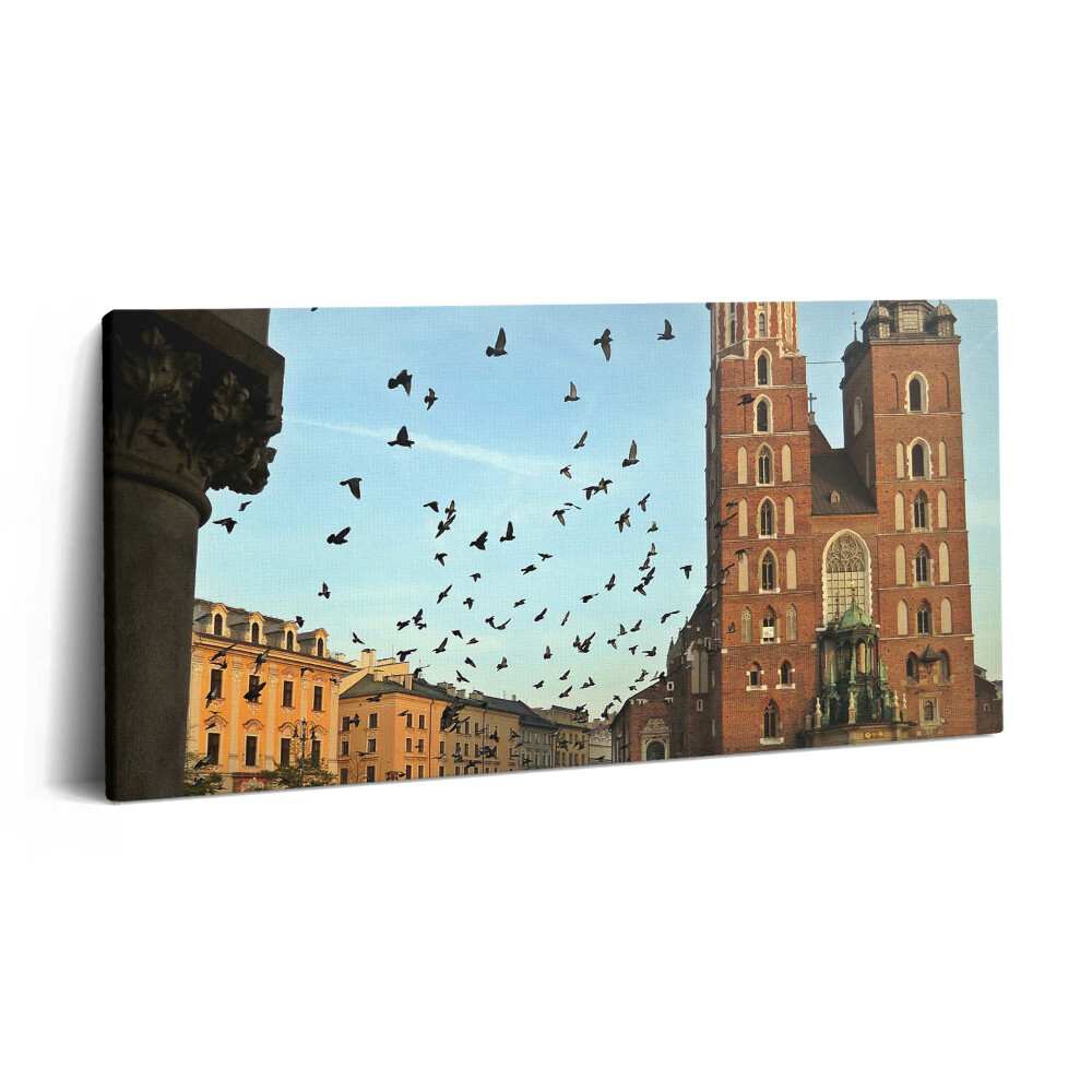 Vászonfotó 100x50 Galambok Krakkó városában