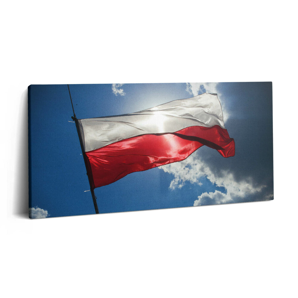 Vászonfotó 100x50 Lengyel zászló az égen