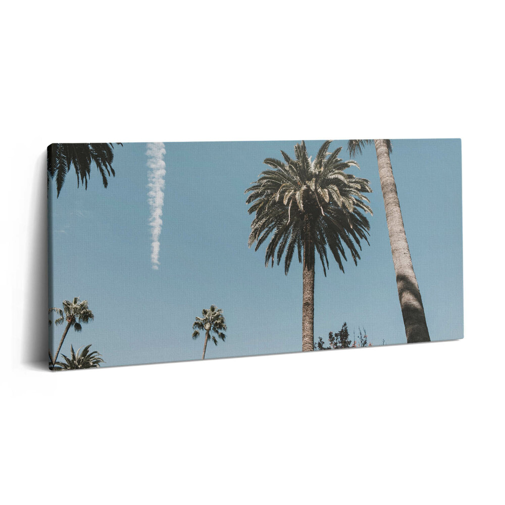 Vászonfotó 100x50 Pálmafák Los Angelesben
