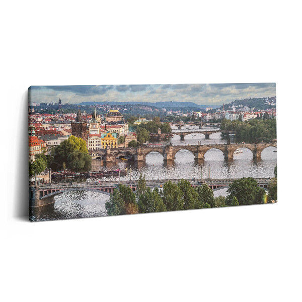 Vászonfotó 100x50 Prágai kilátás