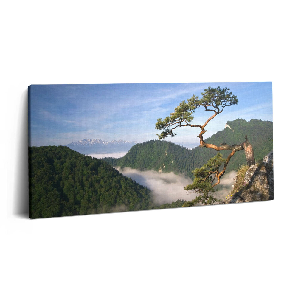 Vászonfotó 100x50 Sokolica-csúcs Pieninyben