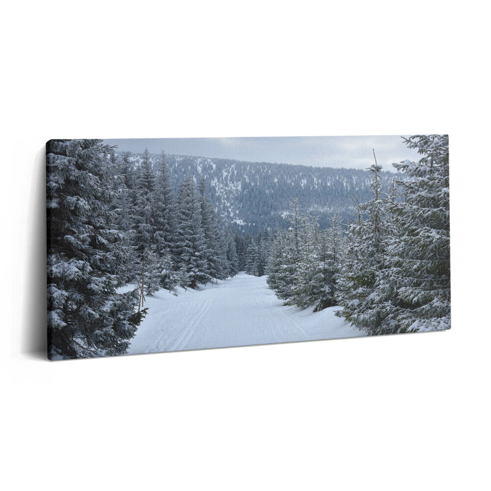 Vászonfotó 100x50 Cseh óriás hegyek télen