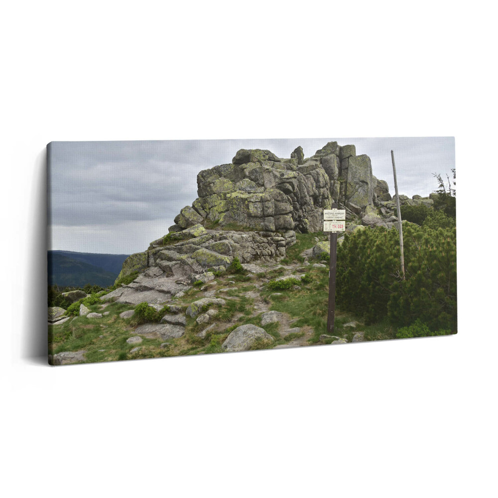 Vászonfotó 100x50 Útvonal az Óriás-hegységben