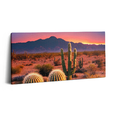 Vászonfotó 100x50 Naplemente a sivatagban