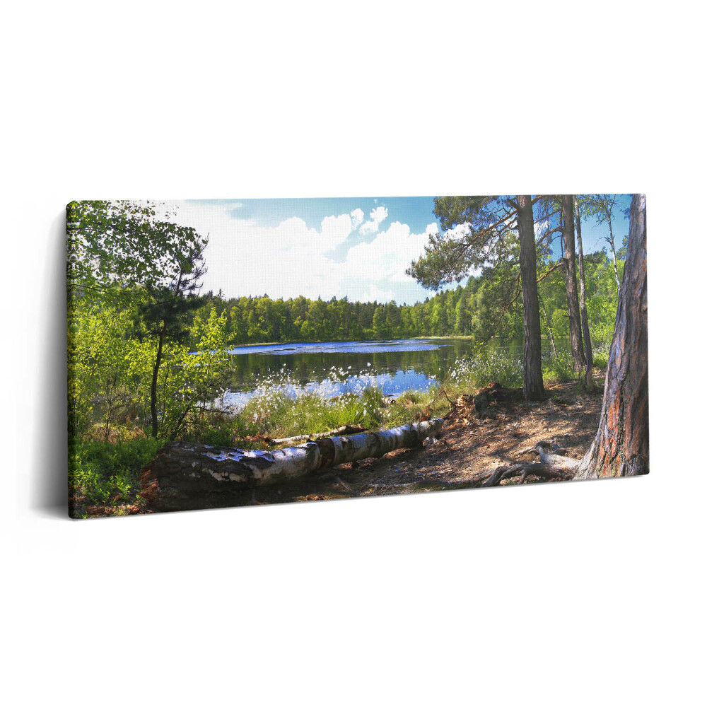 Vászonkép nyomtatás 120x60 Egy erdei tó látványa