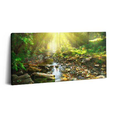Vászonkép nyomtatás 120x60 Erdei patak a napfényben