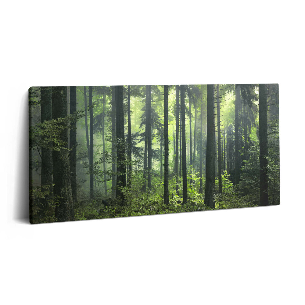 Vászonkép nyomtatás 120x60 Fákból és erdei növényzetből álló tájkép