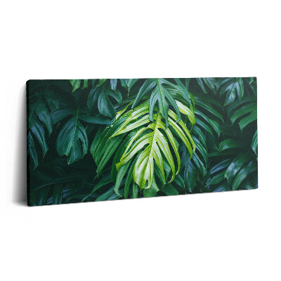 Vászonkép nyomtatás 120x60 Trópusi természet - monstera levelek