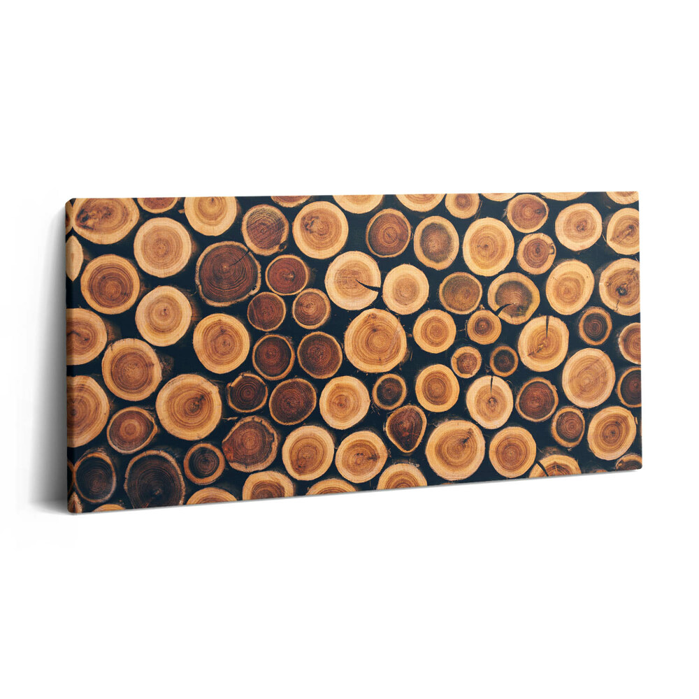 Vászonkép nyomtatás 120x60 Fa fatörzsek