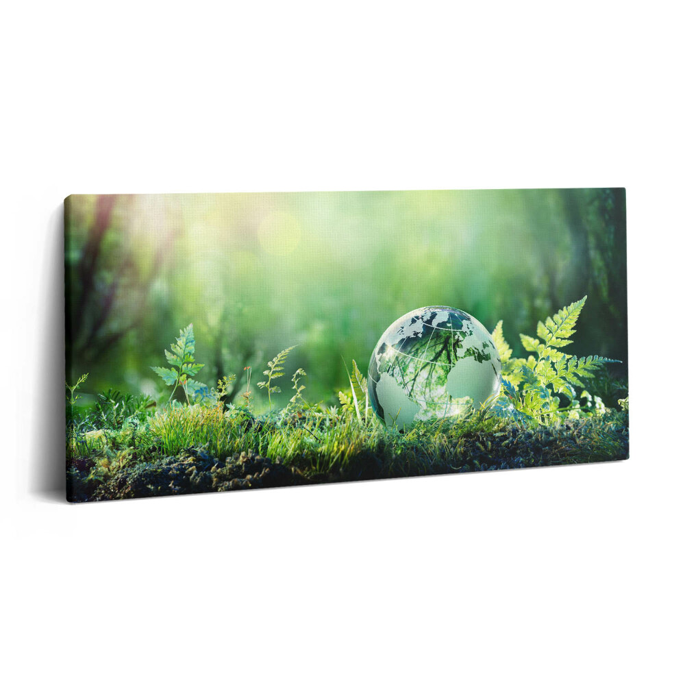Vászonkép nyomtatás 120x60 Földgömb a fűben