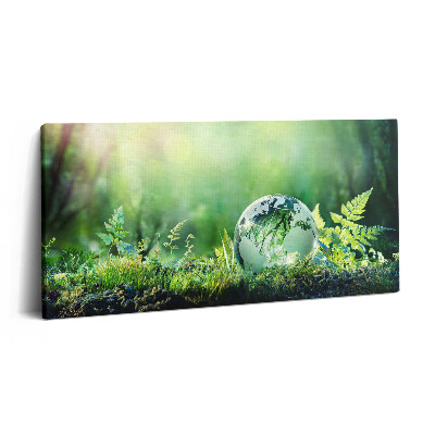 Vászonkép nyomtatás 120x60 Földgömb a fűben