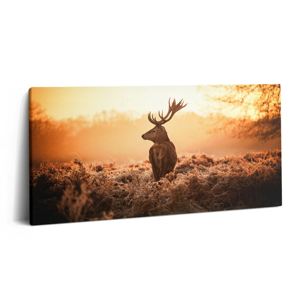 Vászonkép nyomtatás 120x60 Szarvasok napfelkeltekor