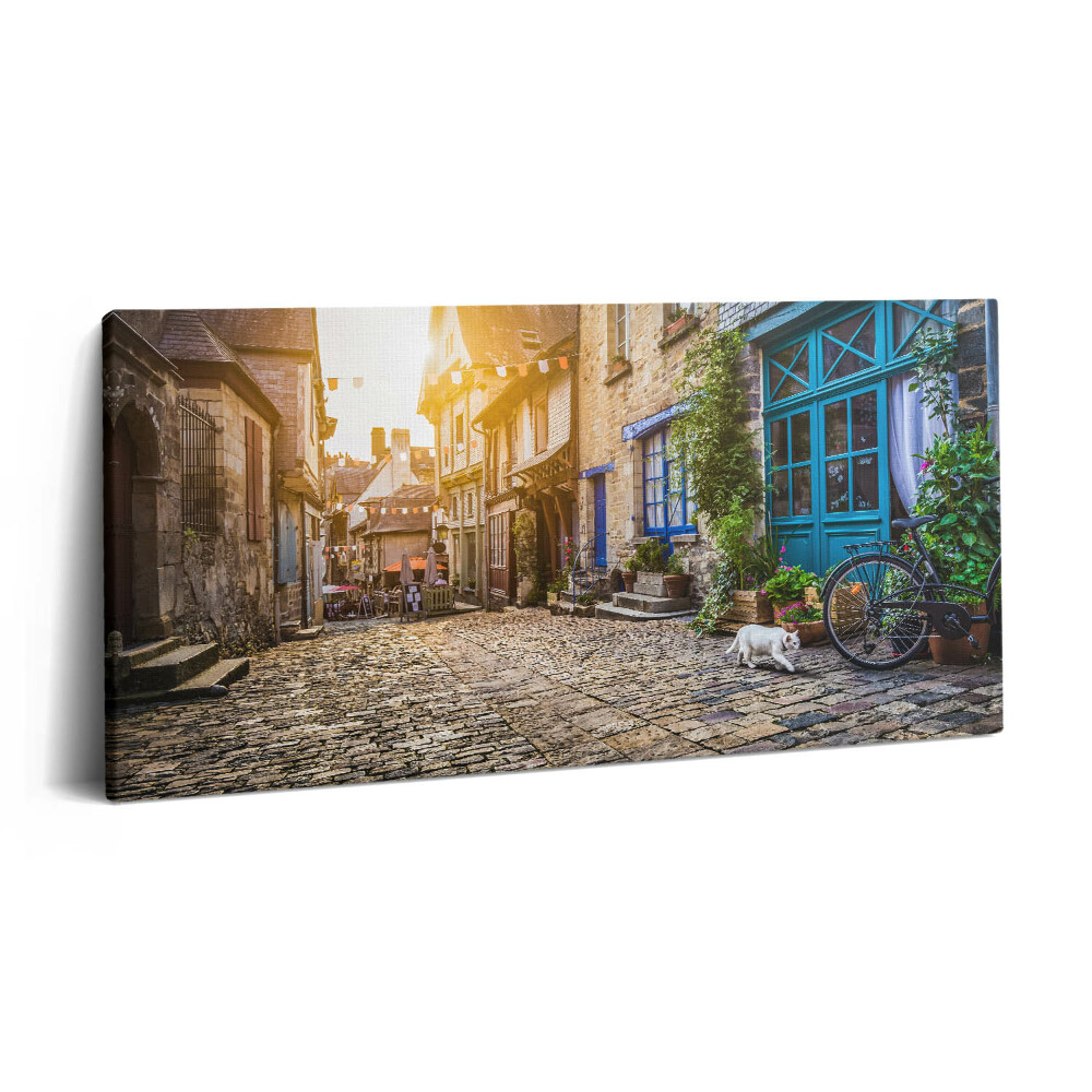 Vászonkép nyomtatás 120x60 Régi városi utca