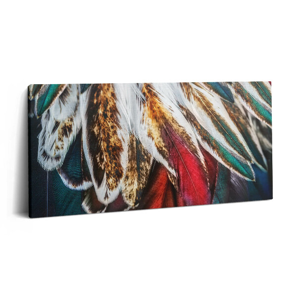 Vászonkép nyomtatás 120x60 Világosbarna madártollak