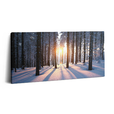 Vászonkép nyomtatás 120x60 Naplemente és erdő télen