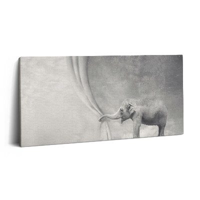 Vászonkép nyomtatás 120x60 Elefánt a függöny mögött