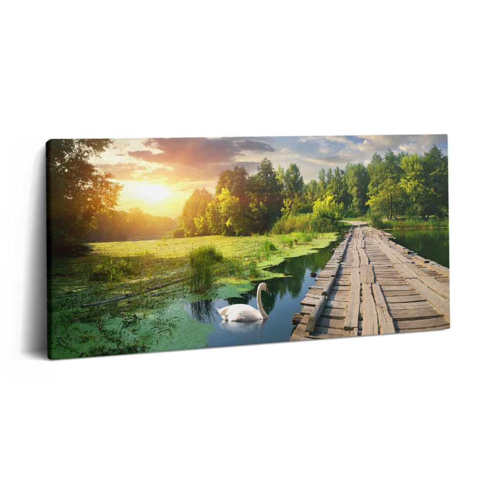 Vászonkép nyomtatás 120x60 Hattyú naplementében