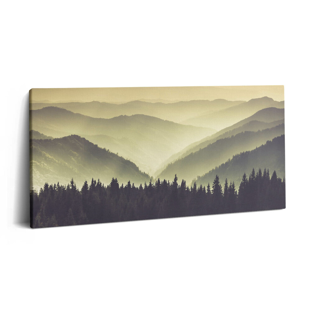 Vászonkép nyomtatás 120x60 Ködös hegyoldal