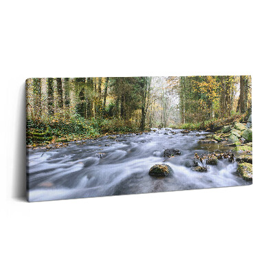 Vászonkép nyomtatás 120x60 Hegyi patak