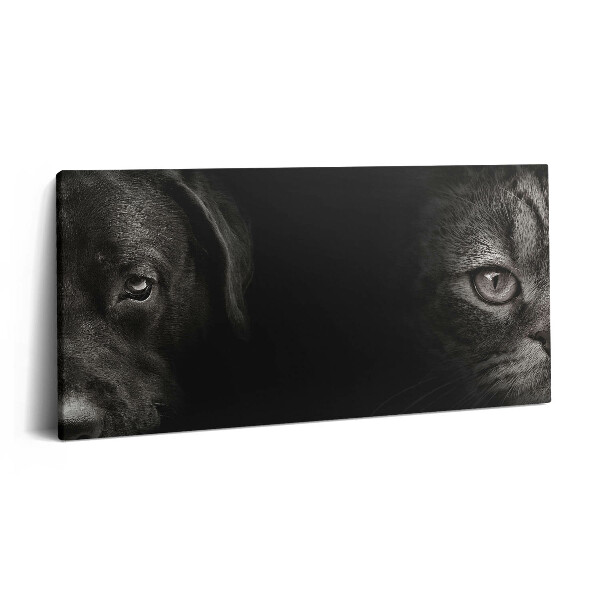 Vászonkép nyomtatás 120x60 Labrador kutya és skót macska