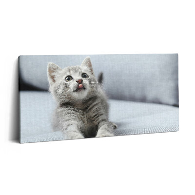 Vászonkép nyomtatás 120x60 Aranyos cica egy kanapén