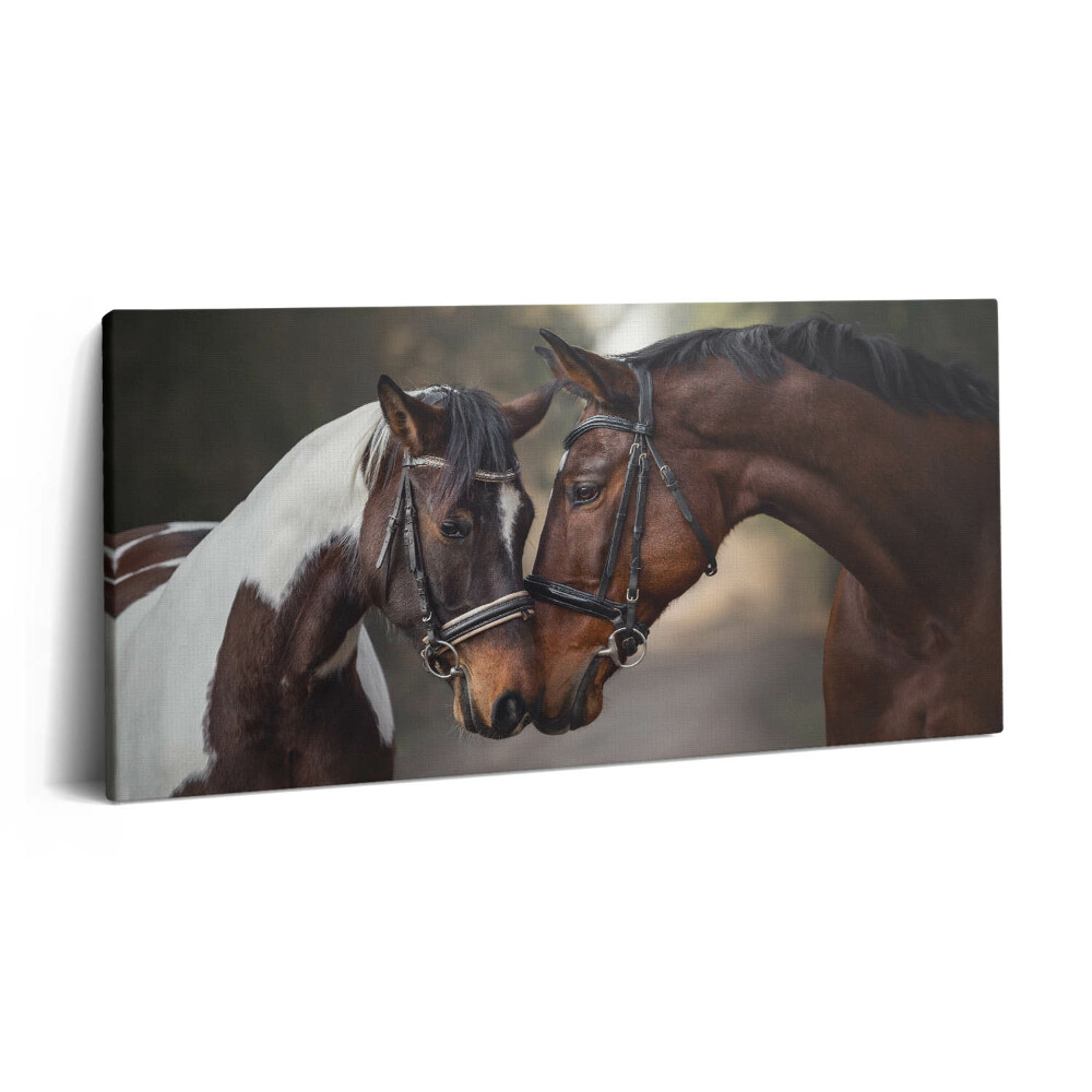 Vászonkép nyomtatás 120x60 Lovak portréja az erdőben