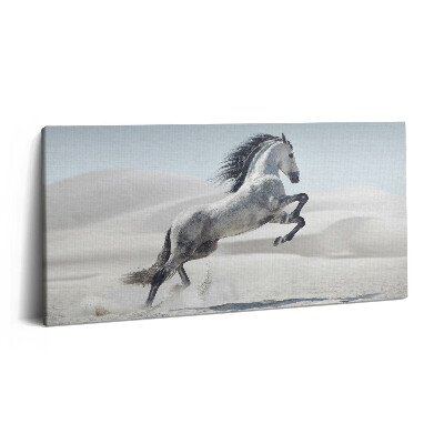 Vászonkép nyomtatás 120x60 Galoppozó fehér ló