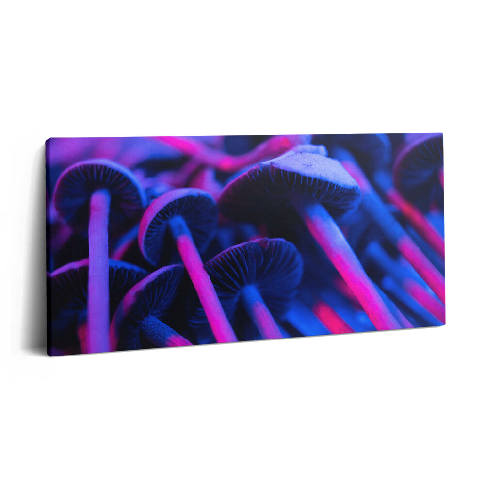 Vászonkép nyomtatás 120x60 Színes varázsgomba