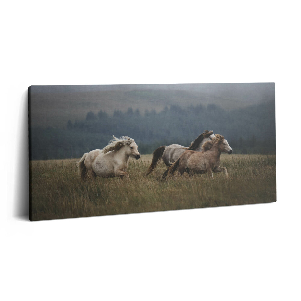 Vászonkép nyomtatás 120x60 Lovak galoppoznak felfelé