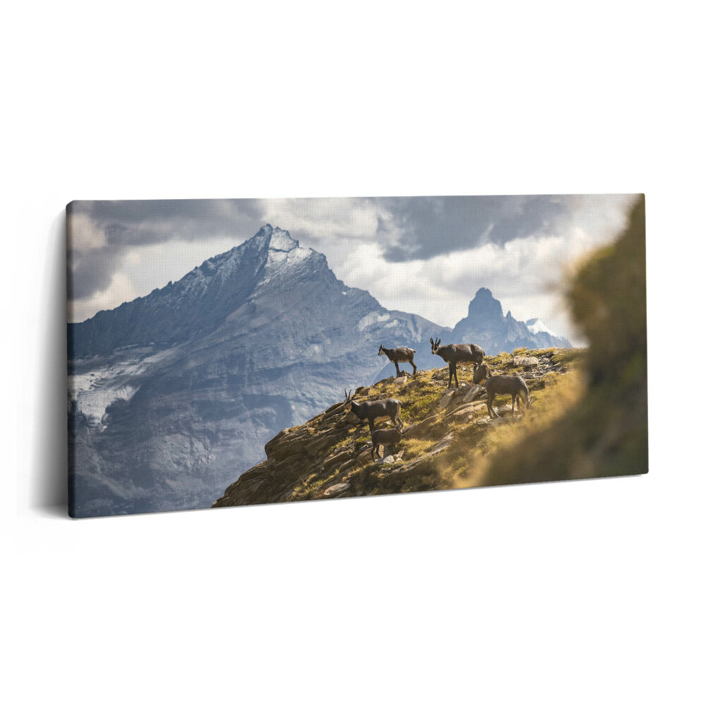 Vászonkép nyomtatás 120x60 Kecskék és az olaszországi Aosta-völgy