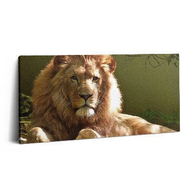 Vászonkép nyomtatás 120x60 Egy vad oroszlán portréja