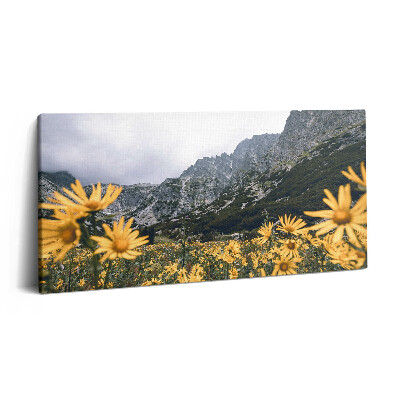 Vászonkép nyomtatás 120x60 Virágos rét a Tátrában