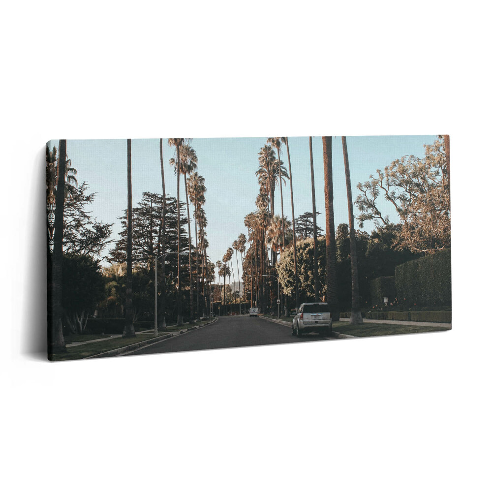 Vászonkép nyomtatás 120x60 Jármű az úton a fák között