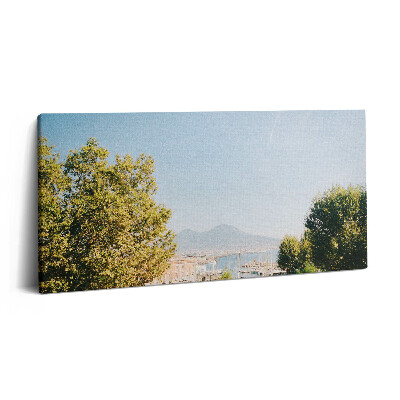 Vászonkép nyomtatás 120x60 Zöld fák Nápolyban