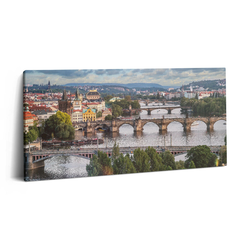 Vászonkép nyomtatás 120x60 Prágai kilátás