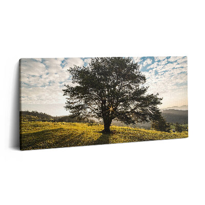 Vászonkép nyomtatás 120x60 Lombos fa egy dombon