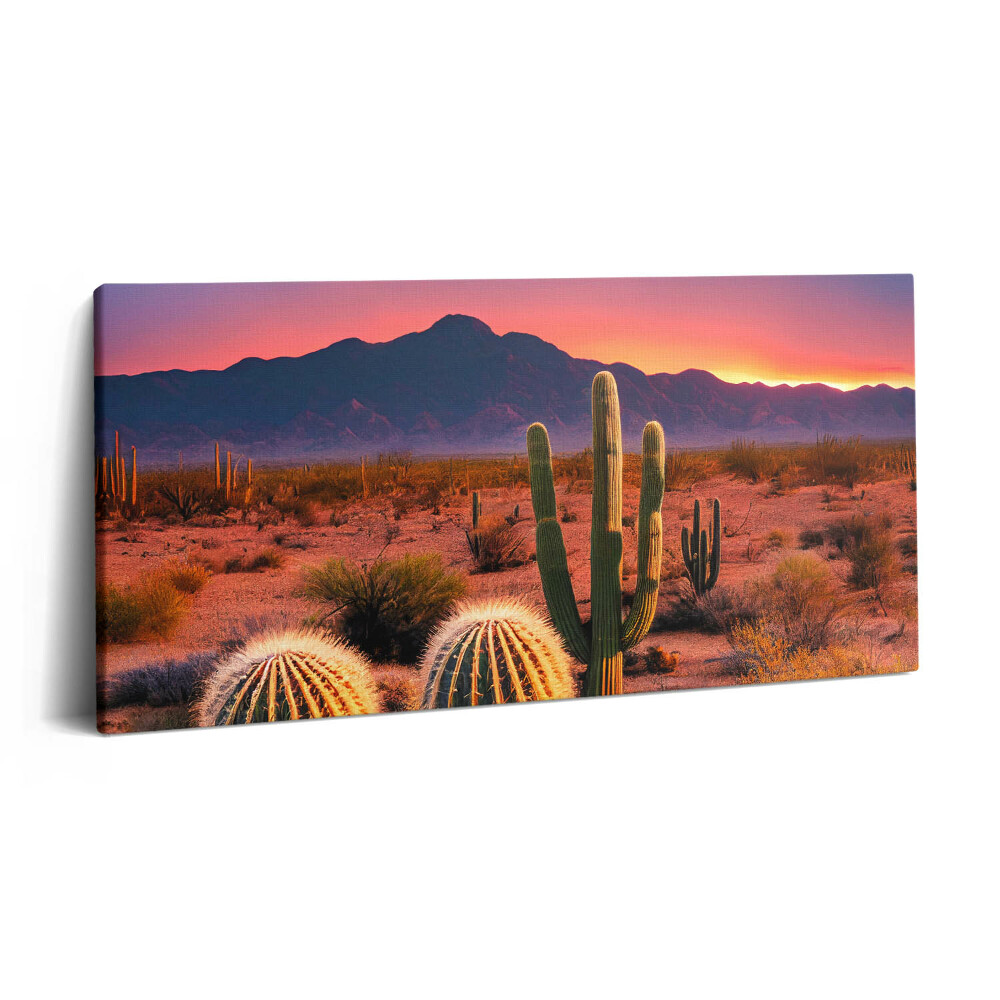 Vászonkép nyomtatás 120x60 Naplemente a sivatagban