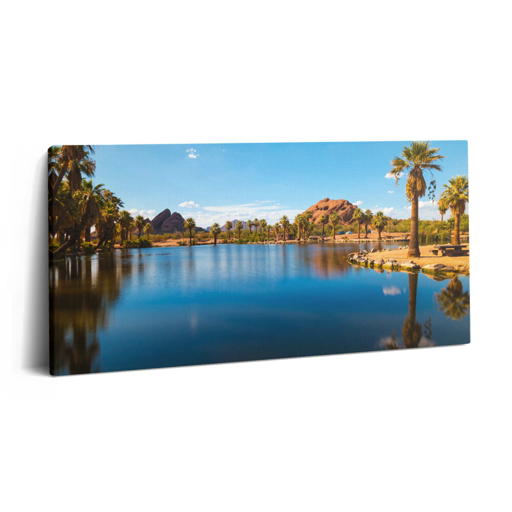 Vászonkép nyomtatás 120x60 A Papago park tájképe