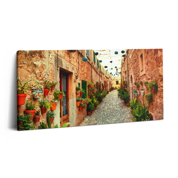 Vászonkép nyomtatás 120x60 Utca Valldemossa faluban