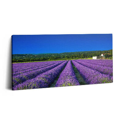 Vászonkép nyomtatás 120x60 Levendulamező Provence-ban