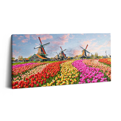 Vászonkép nyomtatás 120x60 Tájkép tulipánokkal Hollandia
