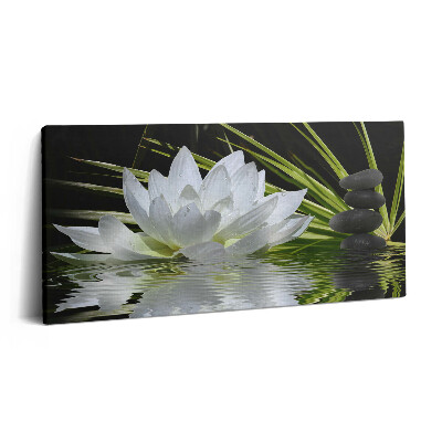 Vászonkép nyomtatás 120x60 Tavirózsa és levelek