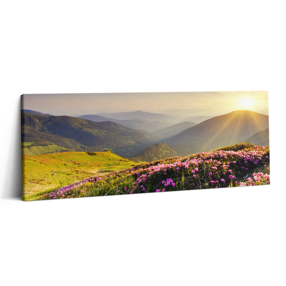 Canvas kép 125x50 Hegyek és egy virágos rét