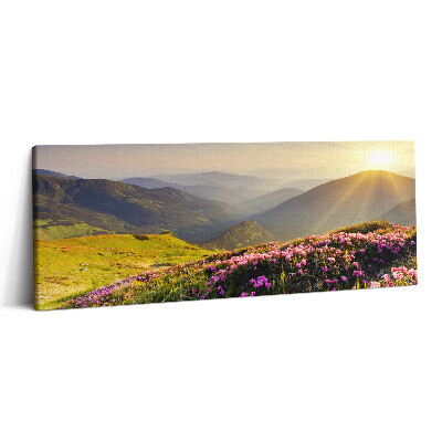 Canvas kép 125x50 Hegyek és egy virágos rét