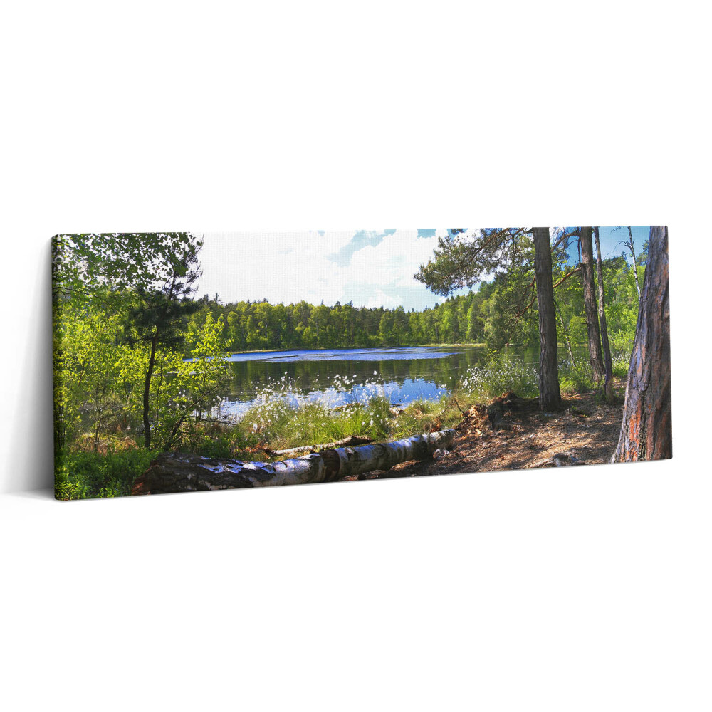 Canvas kép 125x50 Egy erdei tó látványa