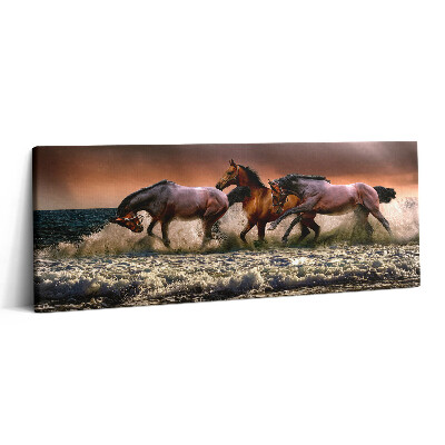 Canvas kép 125x50 Vízbe bukott lovak