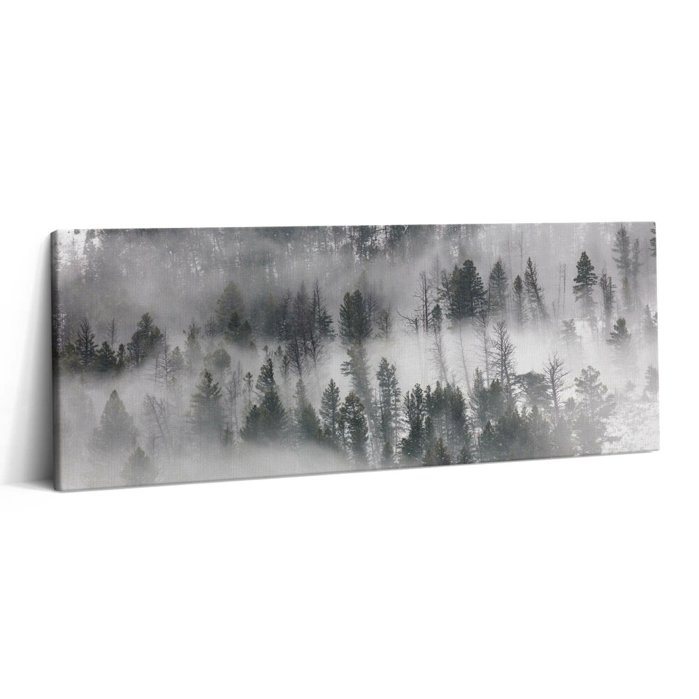 Canvas kép 125x50 Ködös erdei táj